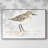 " Pretty Piper I " Painting Print-94356339-94356342