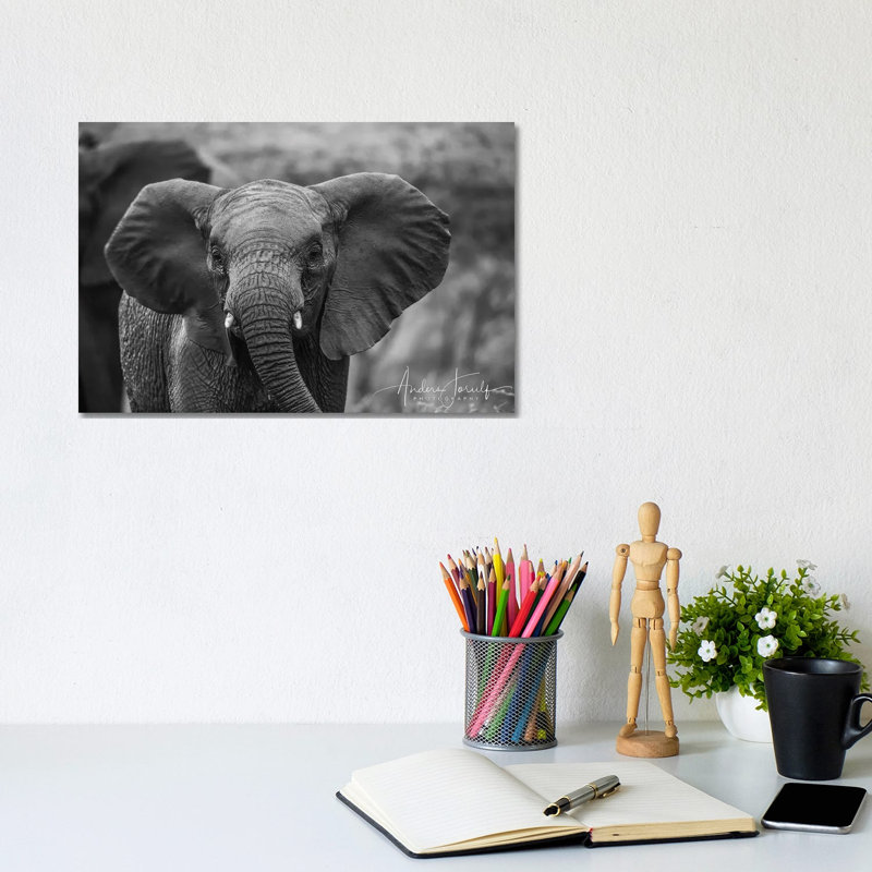 Baby Elephant by Anders Jorulf - Wrapped Canvas Print, 20.32 cm H x 30.48 cm W