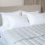2 Pack Firm Down Alternative Bed Pillow-112731037-112731034