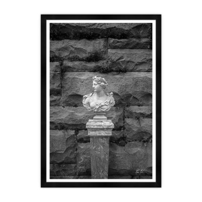 The Female Gaze Figurehead Print by Tim Klein