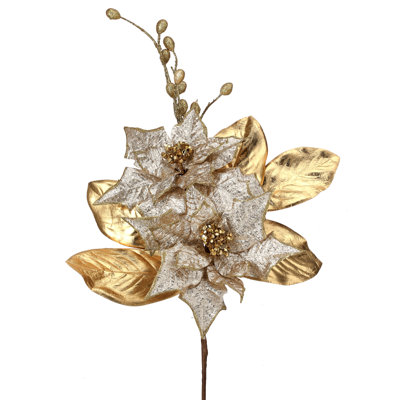 Poinsettia 23 po / baie / feuille