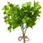 Japanese Boxwood Leaf Artificial Bundles - 15" - Set Of 6