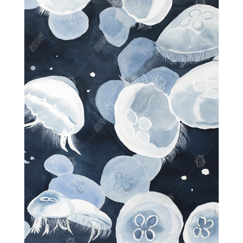 " Jellyfishs "