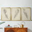 Croquis de plumes I - Toile tendue avec châssis sur mesure - 3 pièces-1957913489-1957913491