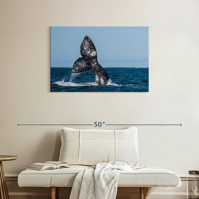 Brampt Gray Whale Tail