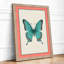 Symmetrical Butterfly Study Botanical - Framed Print-30129590-30129584