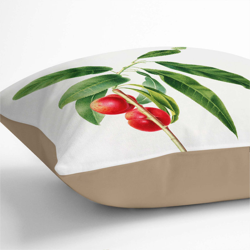 Apricots by Giorgio Gallesio Cushion with Filling, Stone, 40cm H x 40cm W x 15cm D