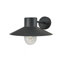 Ivy 22cm H Outdoor Barn Light