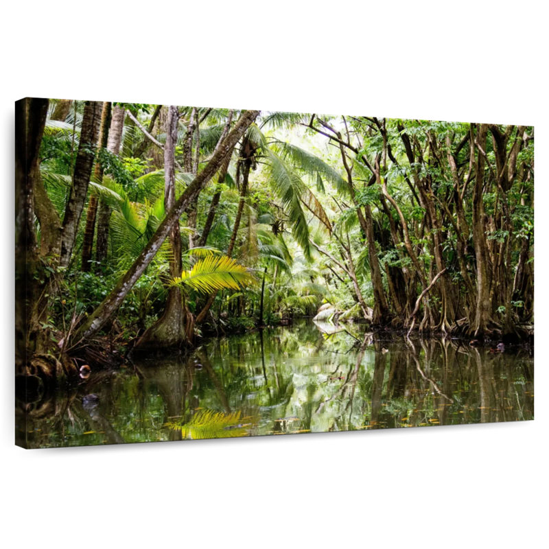 Mangroves de Harnek, H 20 po x l 30 po