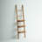 Ladder Bookcase