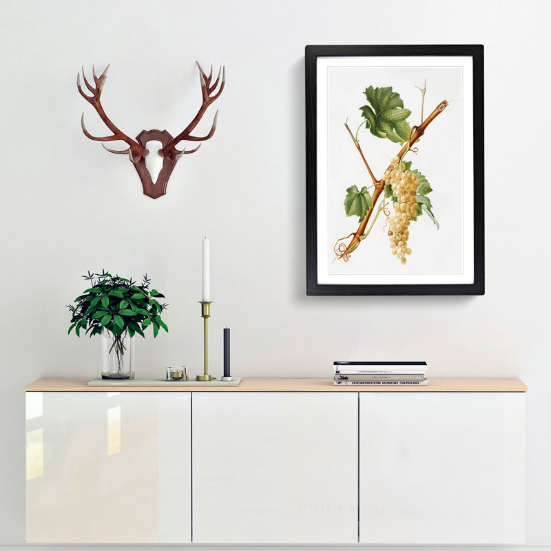 Vermentino Grapes by Giorgio Gallesio - Picture Frame Painting Print, 48cm H x 36cm W x 2cm D, Black Framed