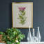«Pretty Pink Botanicals IV» - Toile encadrée de qualité supérieure - prête à être accrochée-1486246686-1486246685