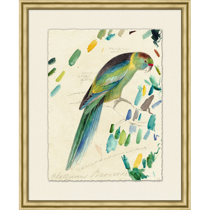Lewin's Parrots 6 Painting
