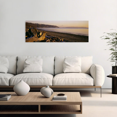 Bois flottant sur la plage, parc de découverte, Mont Rainier, Seattle, comté de King, Washington State, États-Unis