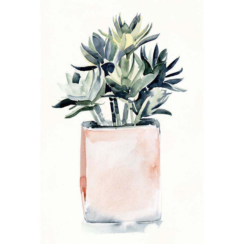 «Pots Succulent IV» par Jennifer Paxton Parker - reproduction, H 12 po x l 8 po x P 1,25 po, Cadre doré à une seule photo