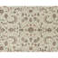 Elegance Oriental Area Rug in Ivory