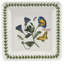 Portmeirion Botanic Garden Square Plate 7"