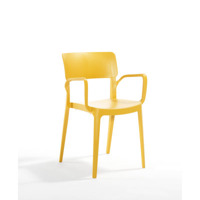 Panora Arm Chair
