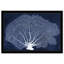 «Nautical and Coastal Coral Fan», impression d'art graphique sur papier-25408913-25408917