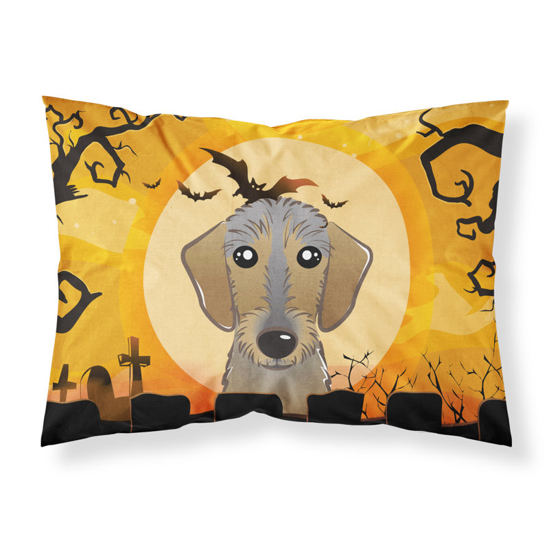 Microfiber, Wirehaired Dachshund