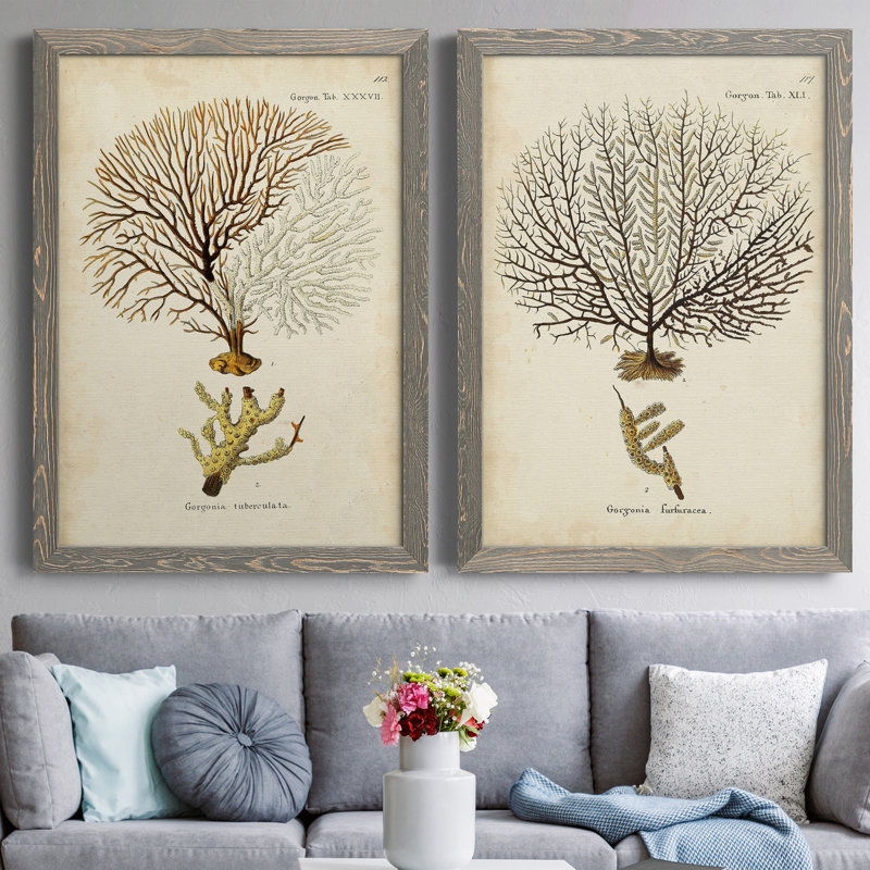 Toile encadrée Esper Sea Fans, H 37,5 po x l 55 po x P 1,5 po, Toile avec cadre gris, Pas de tapis