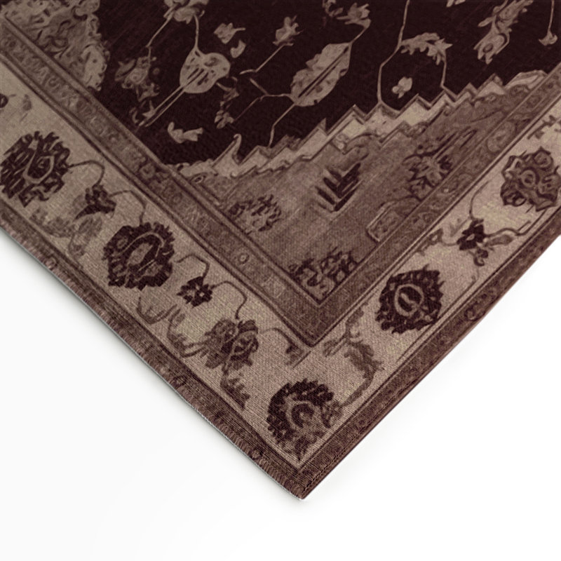Overdyed Brown Indoor and Outdoor Area Rug, Rectangle 5' x 7'