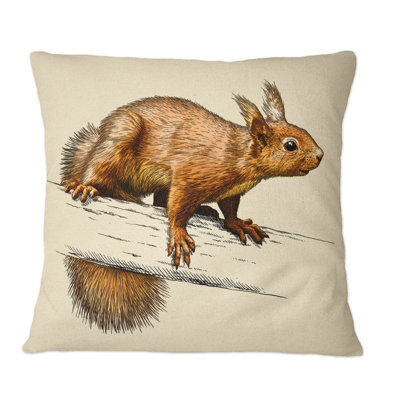 Throw Pillow
