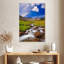 Alvord Alpine Meadow Stream-108442126