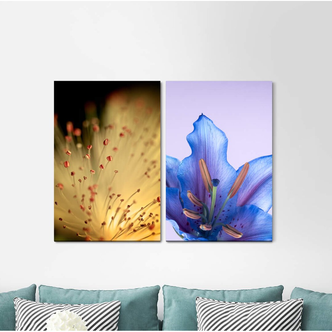 2-tlg. Leinwandbilder-Set - Fotografie „Blossoms Summer Blue Tender Relaxing”