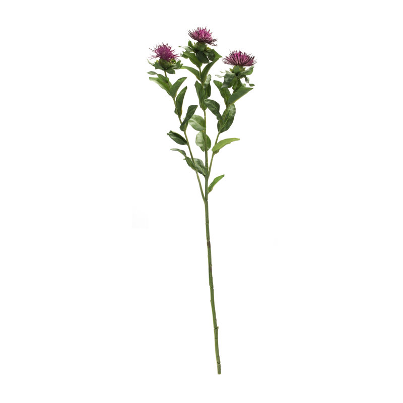 Jeté floral chardon mauve (ensemble de 6), Mauve
