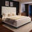 Upholstered Platform Bed With Modern Panel Headboard-986329940-986329937
