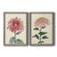 Toile de chrysanthème-1154156167-1154156166