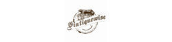 Logo Vintiquewise