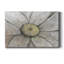 " Close-Up Daisy II "-1050419672