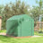 Greenhouse-98284338-98284339