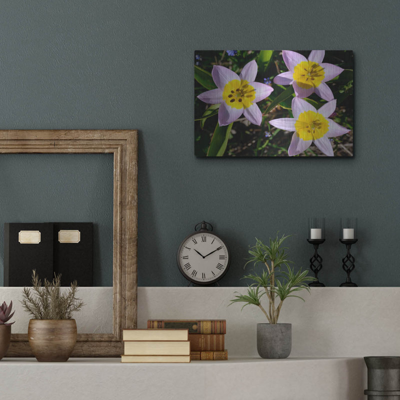 Winston Porter «Flowers Iii» par Epic Portfolio, art mural en métal, H 12 po x l 16 po