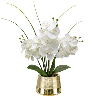 Arrangement in Vase