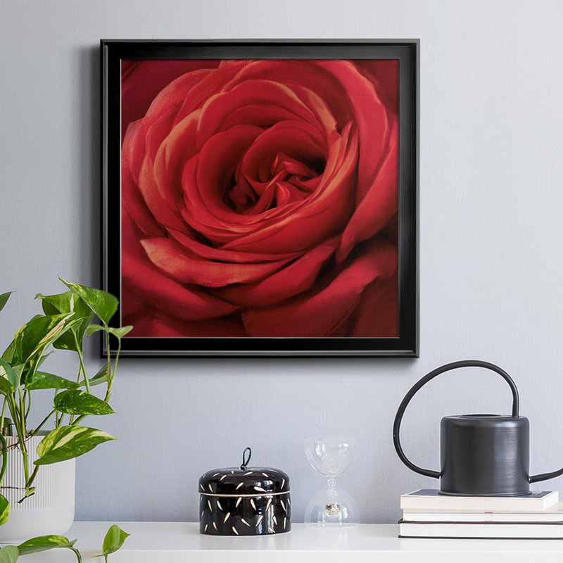 Solo Solo - photographie sur toile encadrée, H 30,5 po x l 30,5 po x P 1,5 po, Noir