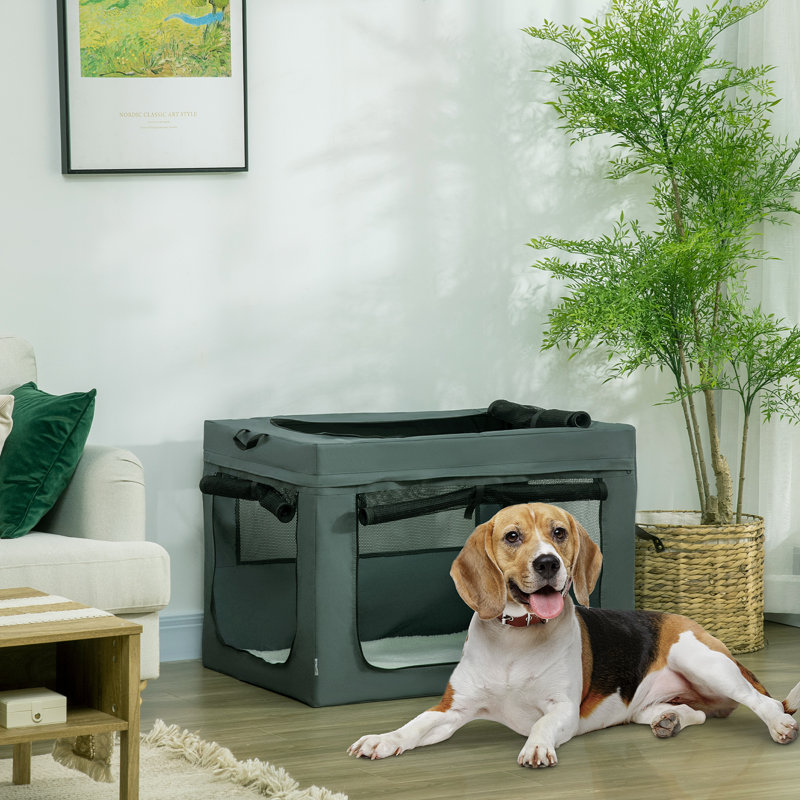 Pet Carrier with 1 Door, Green