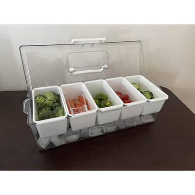 5 Compartment Ice Chilled Condiment Serving Tray with Concealed Handle, Portable Garnish Caddy for Outdoor BBQ and Party