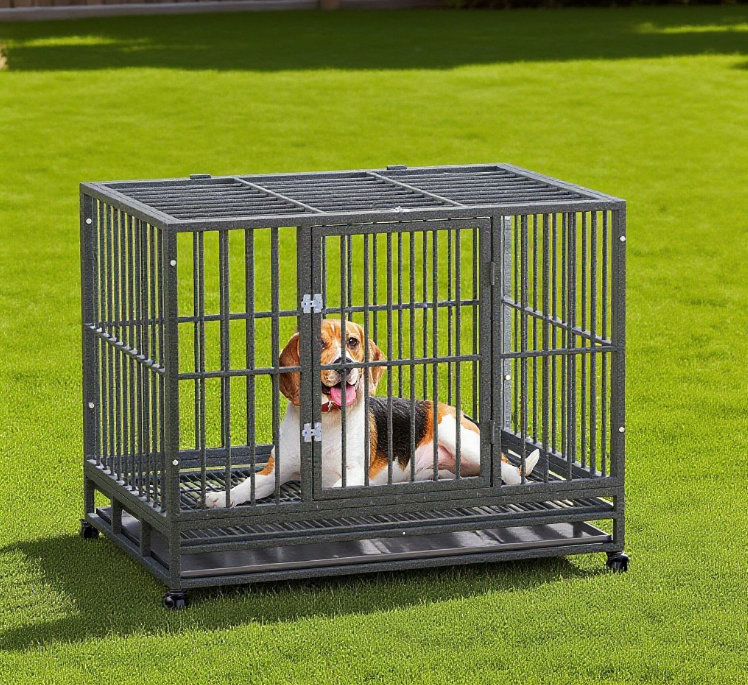 Cage en métal robuste pour chenil