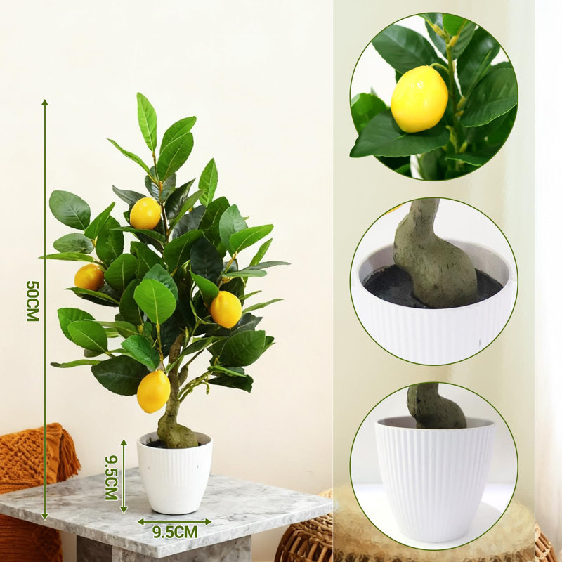 57 cm H Faux Plant