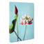 Pink Lotus Flowers by Ogawa Kazumasa - Wrapped Canvas-55325466