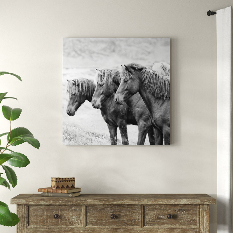 B&W Horses X by PHBurchett - Wrapped Canvas Print, 91cm H x 91cm W
