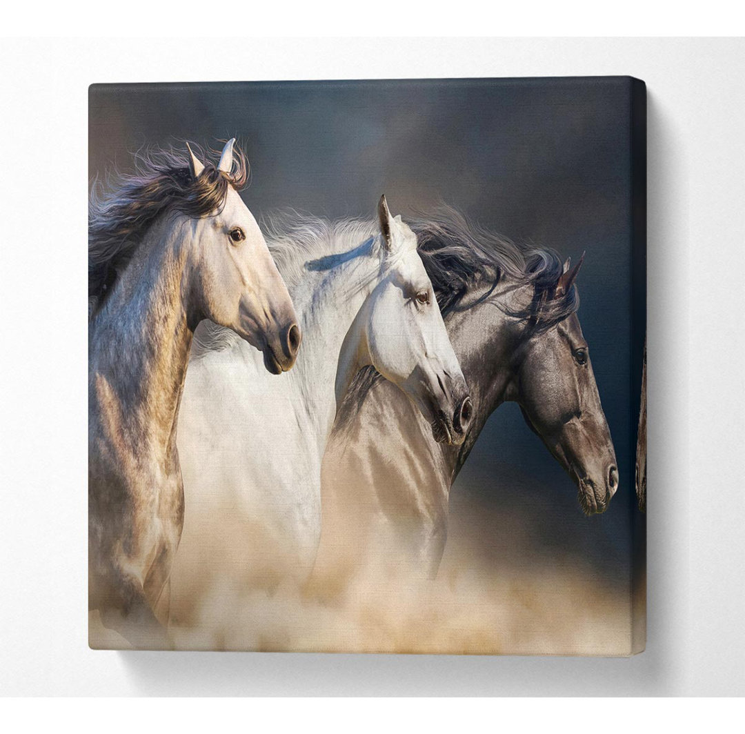 Wild Horse Trio - Kunstdrucke auf Leinwand