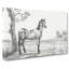 Mottled Horse by Jean Bernard - Wrapped Canvas Drawing - Wrapped Canvas-55362624