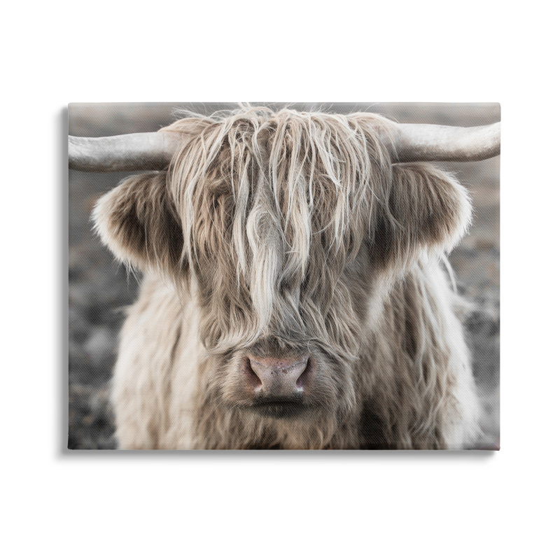 Highlands Cattle Rural Farm Animal Canvas Print, 30" x 24"