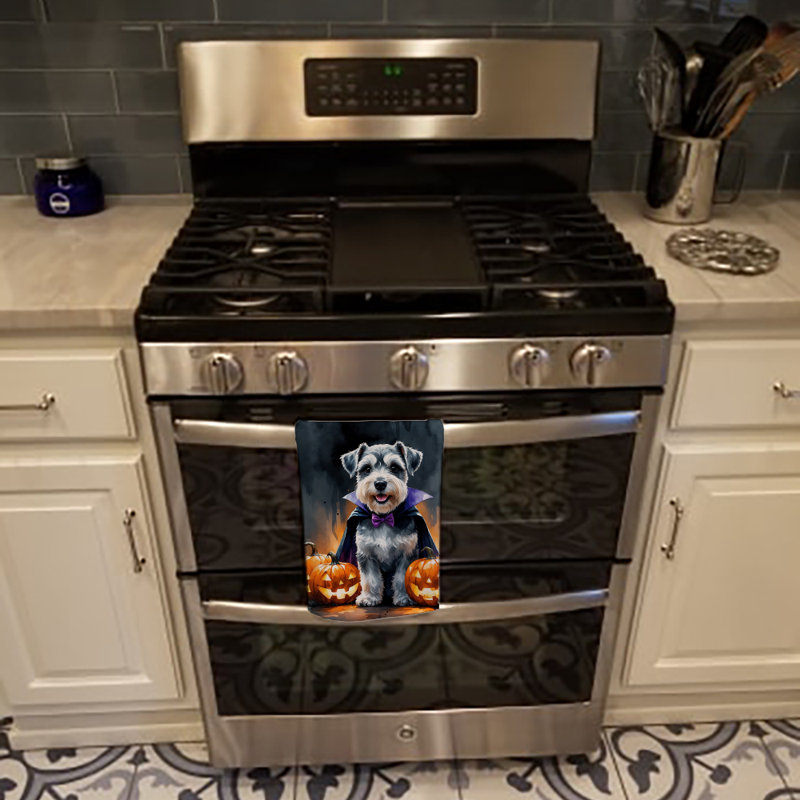 Torchon Schnauzer, Schnauzer