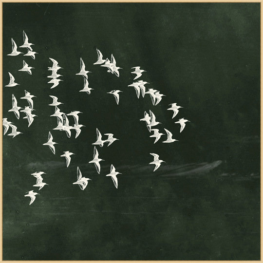 Flight Of Passage 3 (Green) Print by Thom Filicia