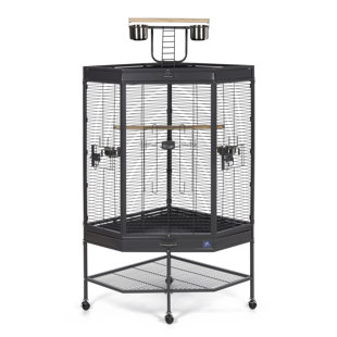  Corner Bird Cage